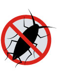 No roach icon
